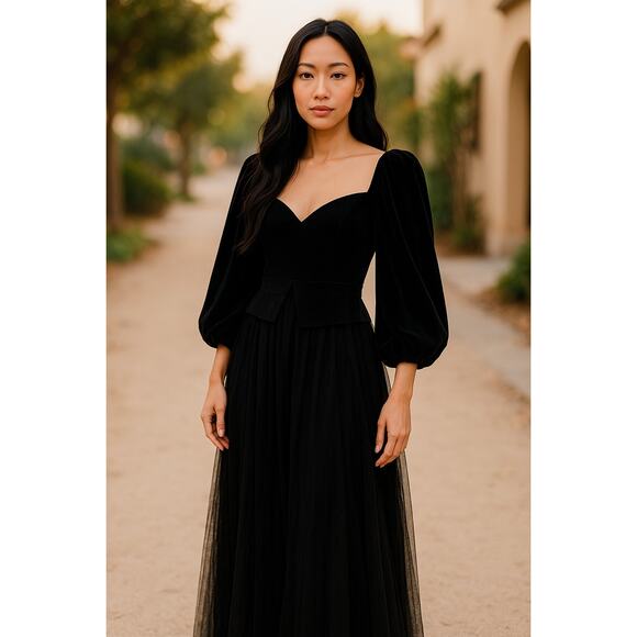 CHIARA BONI LA PETITE ROBE Ariadna Velvet Sheer-Sleeve Illusion Gown Size 4 NWT - Picture 4 of 10